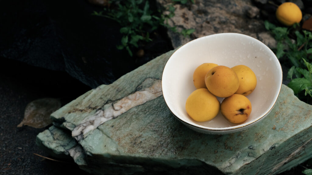 A white ceramic bowl with a fine gold rim holds five ripe golden-yellow apricots, placed on a large flat slab of naturally veined green and white stone. Shot outdoors in natural light with dark soil, green foliage, and a loose lemon visible in the background, creating an earthy, organic still-life composition.