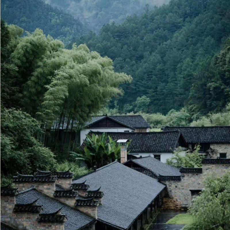 Long-term Impact