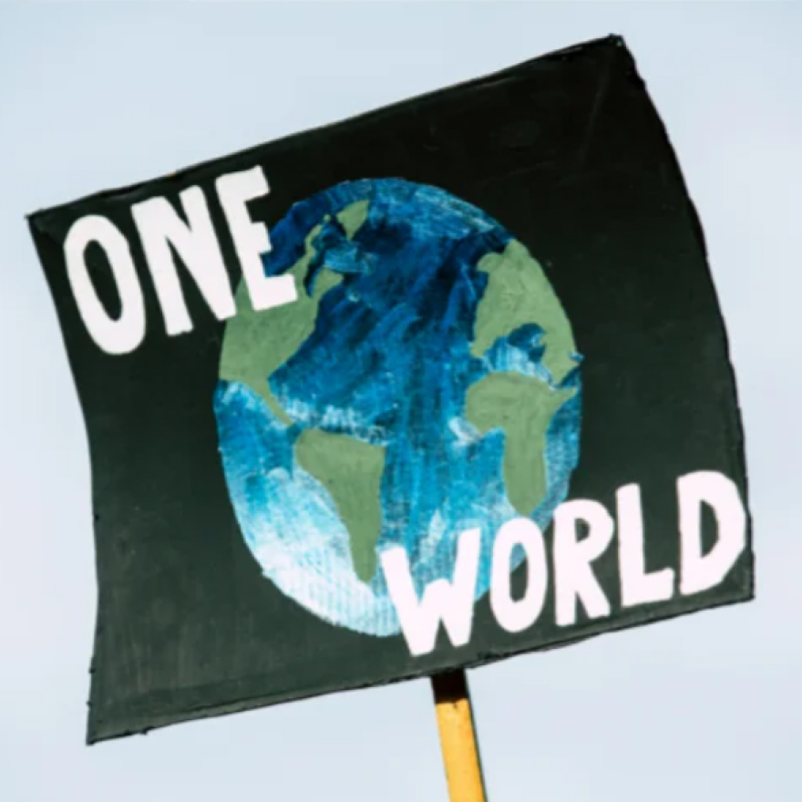 A hand-painted protest sign on a black background reading 'One World' with a painted globe, held up against a pale blue sky.